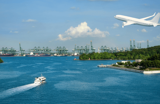 Managing the Future of Logistics with Digital Power